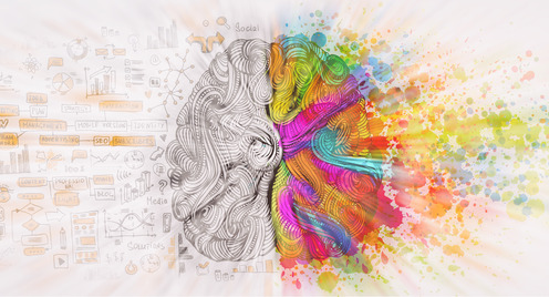Left and right brain - logical and rational thinking vs. emotion and intuition