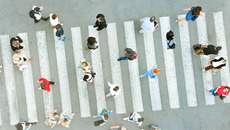 AdobeStock_227106267_bear_KONZERN_ST-IB.jpg(© © Montage: Dmytro - stock.adobe.com)