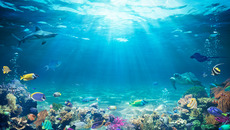 AdobeStock_439098799_KONZERN_ST-W(© © Romolo Tavani - stock.adobe.com)