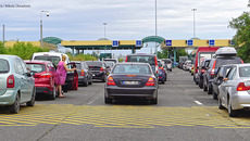 Shutterstock / Nikola Obradovic