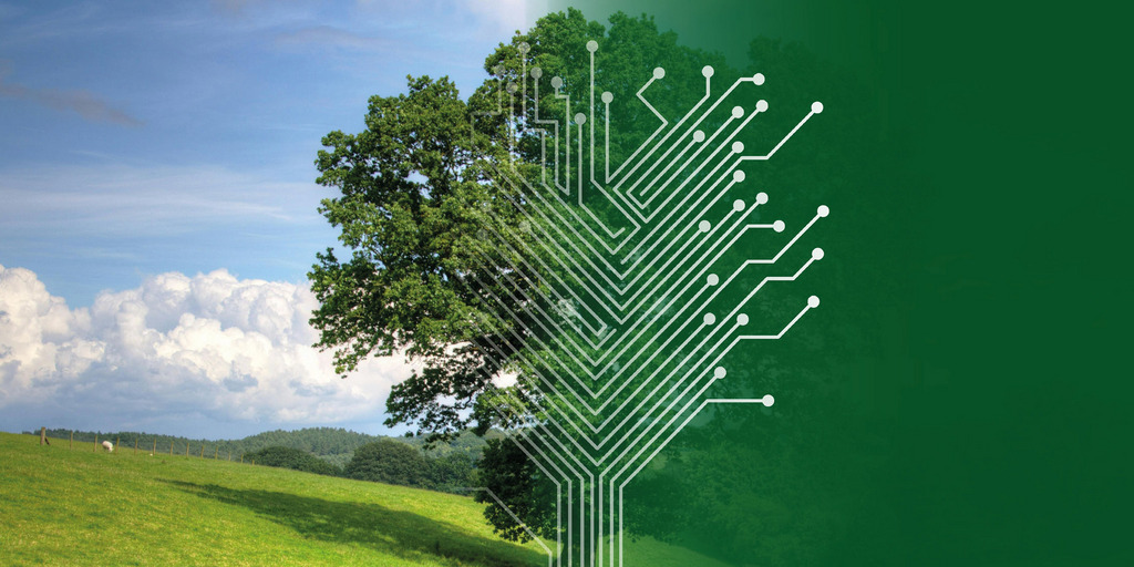 Grüner Baum, halb Leiterplatte, halb natürlich