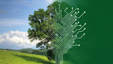 Doppelte 15 Titelbild querformat3(© Montage: Pixabay auf Pexels, CC0 1.0 – https://creativecommons.org/publicdomain/zero/1.0/legalcode.en / Bertelsmann Stiftung)