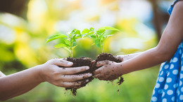 An adult and a child each hold a small plant with soil in their hands and pass them to one another. The scene takes place outdoors in soft sunlight.