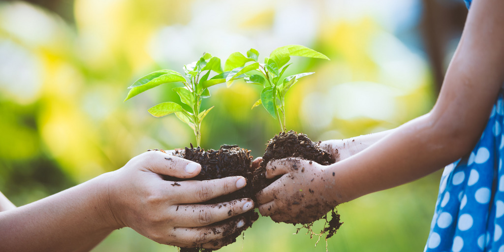 An adult and a child each hold a small plant with soil in their hands and pass them to one another. The scene takes place outdoors in soft sunlight.