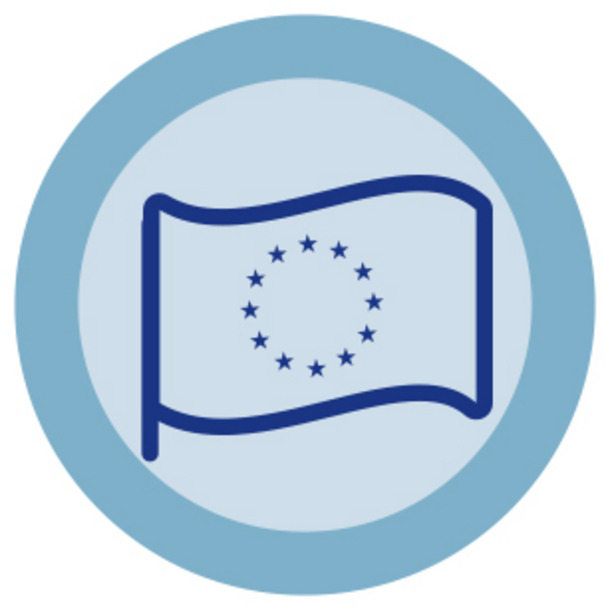 Icon Zukunft der EU