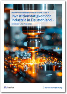 Cover Investitionstätigkeit der Industrie in Deutschland – Struktur und Ausblick