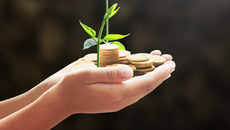 Shutterstock / CHOATphotographer