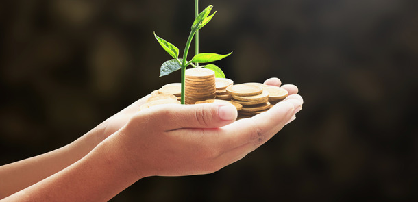 Shutterstock / CHOATphotographer