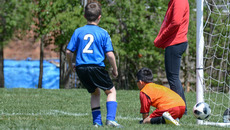 © vallejo123 - stock.adobe.com