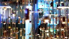 Reagenzglaeser-provetas-118222.jpg(© makunin / pixabay.com - CC0, Public Domain)