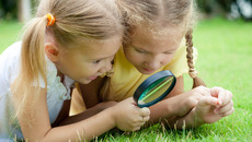 Fotolia_56460478_X_MPL.jpg_ST-LK(© altanaka / Fotolia.com)