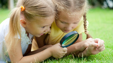 Fotolia_56460478_X_MPL.jpg_ST-LK(© altanaka / Fotolia.com)