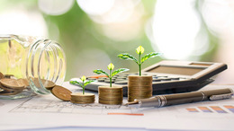 Plant trees on coins and calculators, financial accounting concepts and save money
