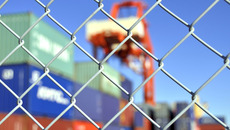 Shutterstock / Hachi888