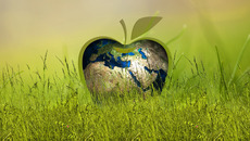 Pixabay_sustainability-3295824.jpg(© geralt / Pixabay – Pixabay License, https://pixabay.com/de/service/license/)