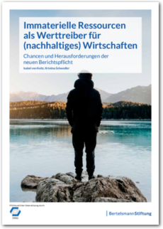 Cover Immaterielle Ressourcen als Werttreiber für (nachhaltiges) Wirtschaften