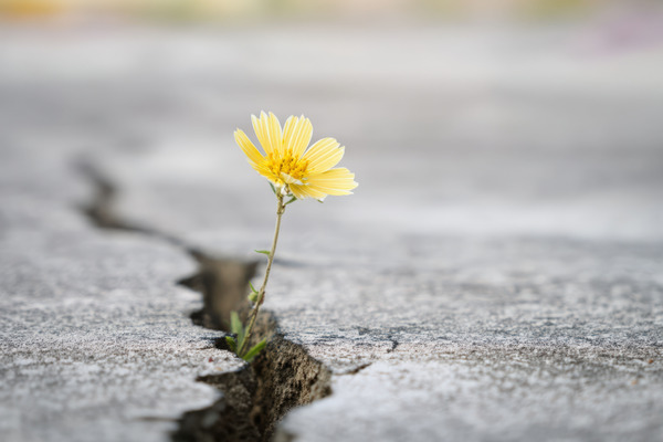 AdobeStock_1429358700_KONZERN_DZ_KI-GENERIERT(© Volha - stock.adobe.com / KI-generiert)