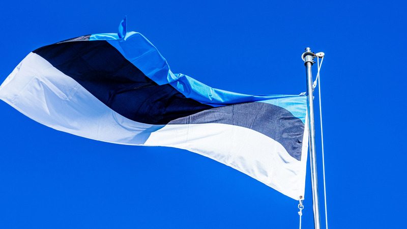 Das Bild zeigt die estnische Nationalflagge, die an einem Fahnenmast weht. Die Flagge besteht aus drei horizontalen Streifen: oben blau, in der Mitte schwarz und unten weiß.