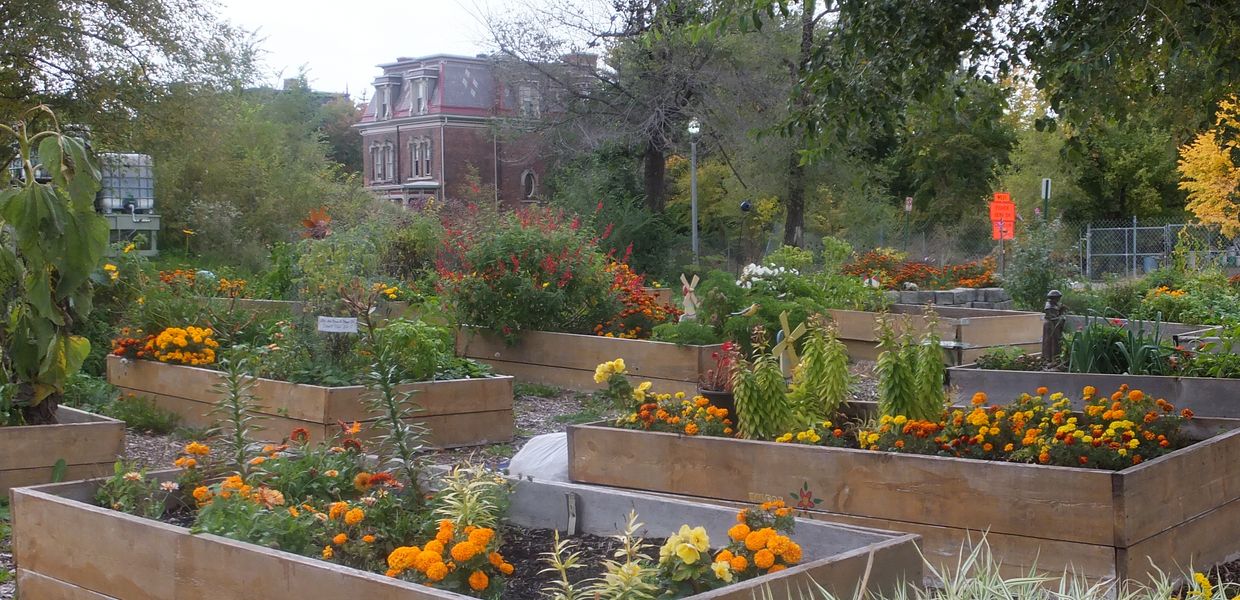 (© Bertelsmann Stiftung) Garten 1.JPG