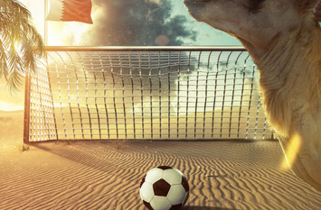 Soccer World Championship in Quatar 2022