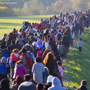 Shutterstock / Janossy Gergely