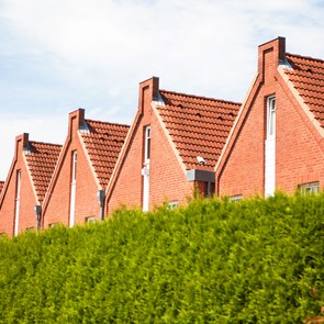 Dachreihe hinter einer Hecke